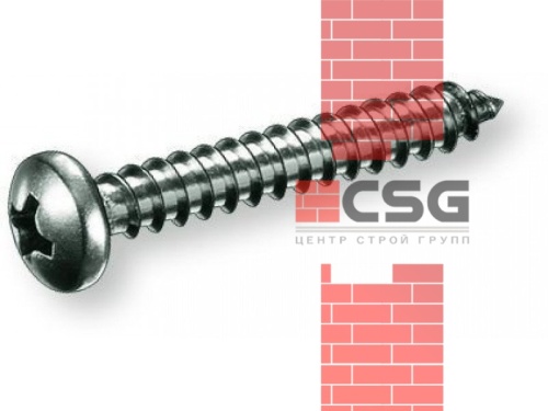 Винт с полукруглой головкой 2.9х22 оцинк. DIN 7981