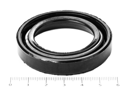 Сальник (манжета армированная) 1.2-38х56х10 (24-1701210 лев.) ГОСТ 8752-79